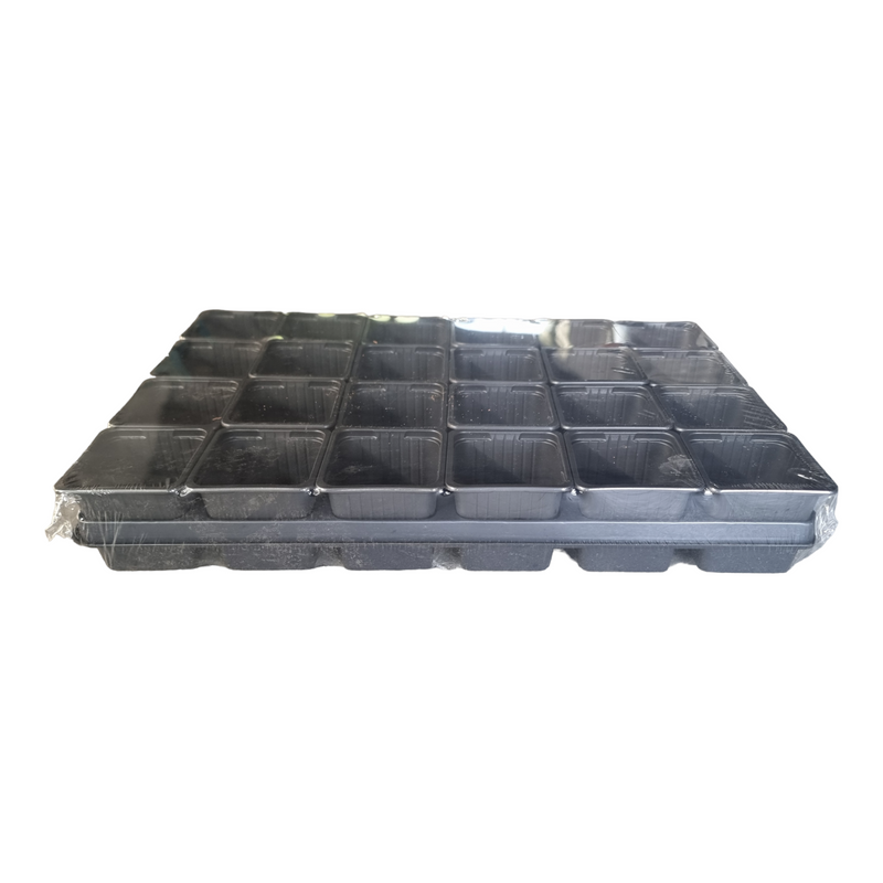 Carry Tray with 24 x 7 cm x 7 cm Square Pots