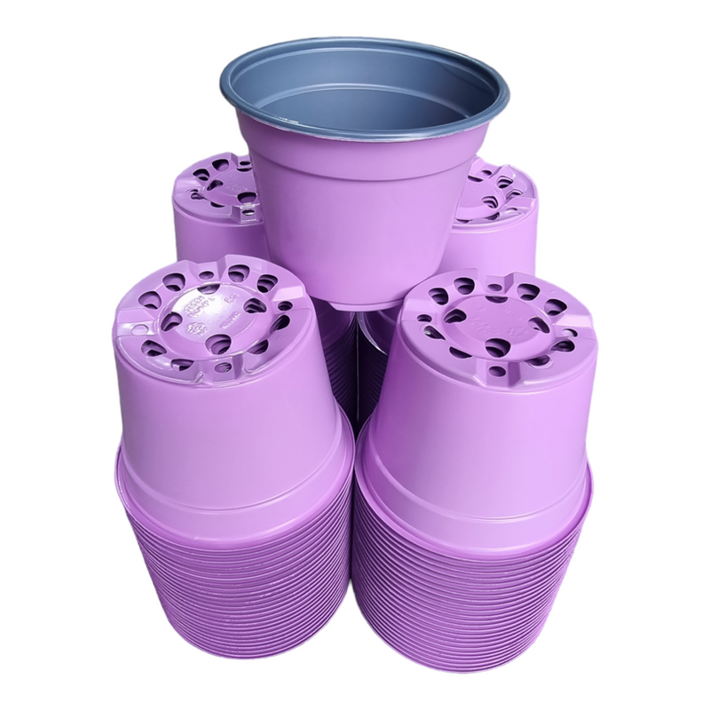 Desch Container Pots