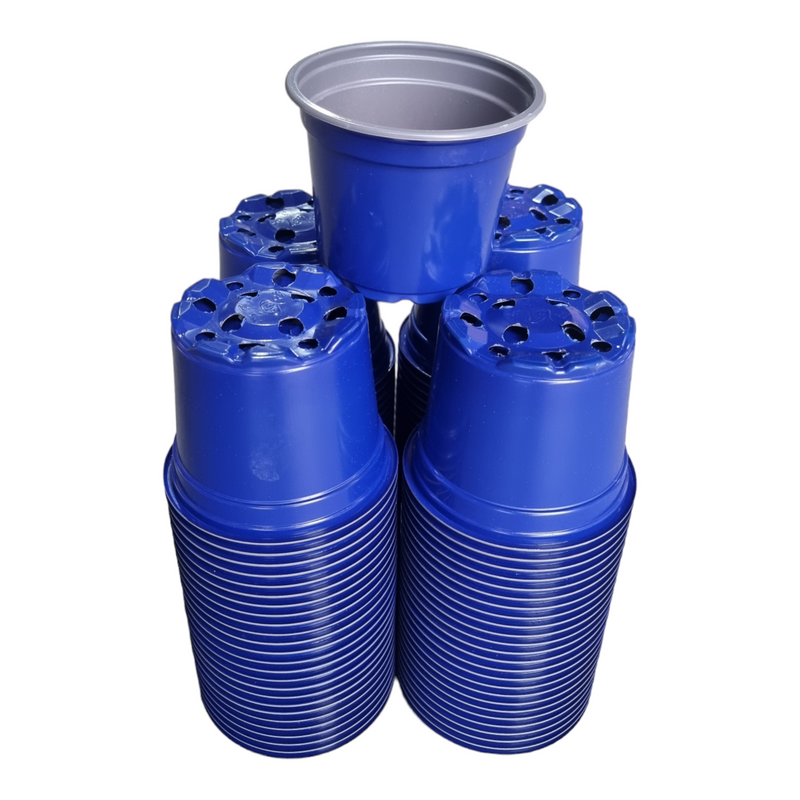 Desch Container Pots