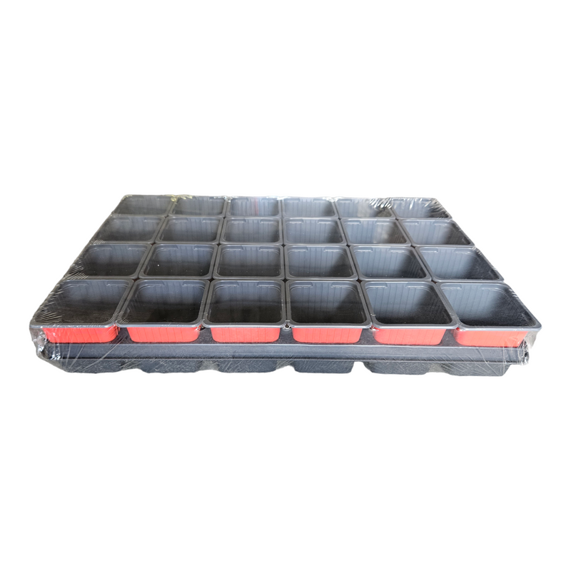 Carry Tray with 24 x 7 cm x 7 cm Square Pots