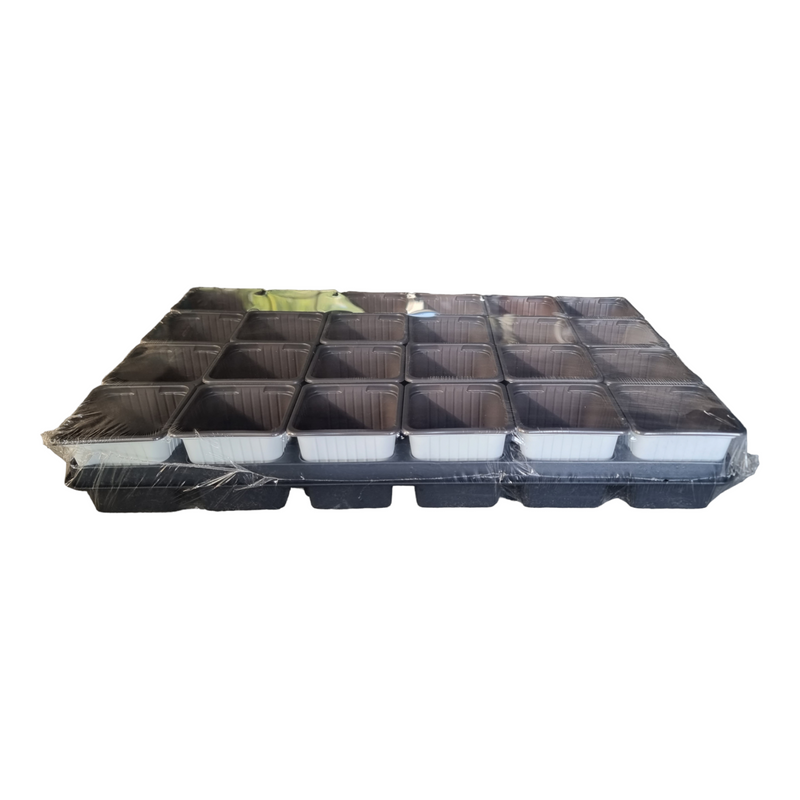 Carry Tray with 24 x 7 cm x 7 cm Square Pots