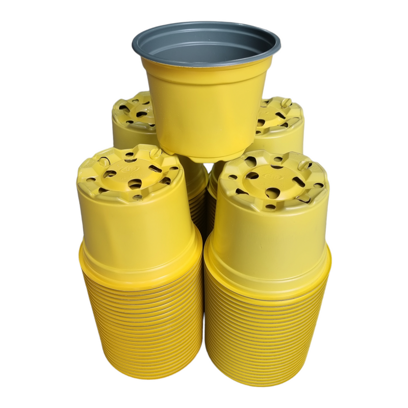 Desch Container Pots