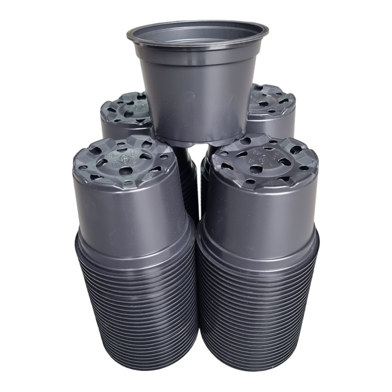 Desch Container Pots