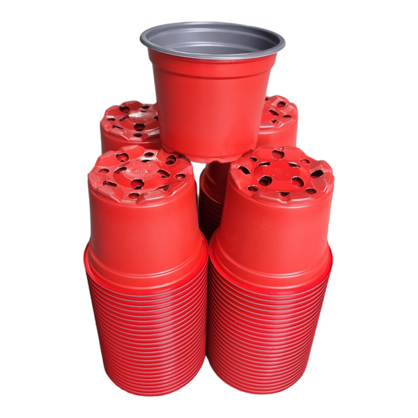 Desch Container Pots