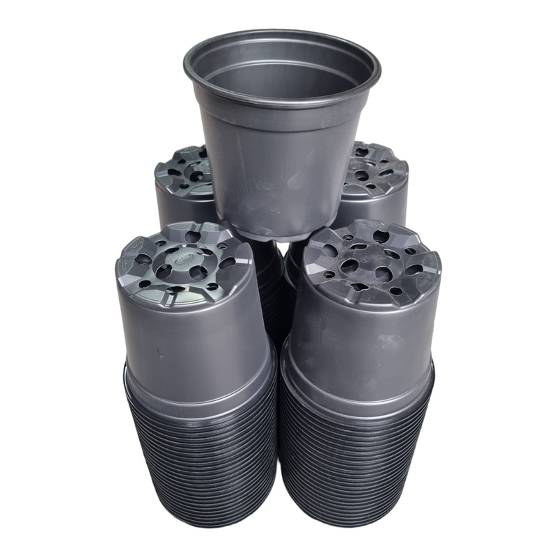 Desch Container Pots