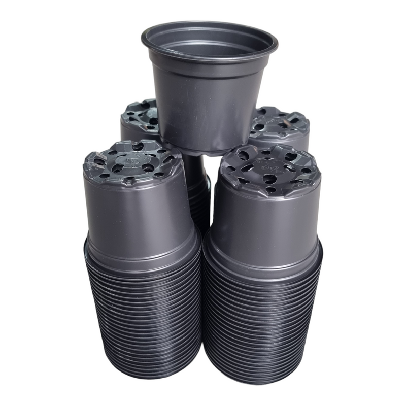 Desch Container Pots