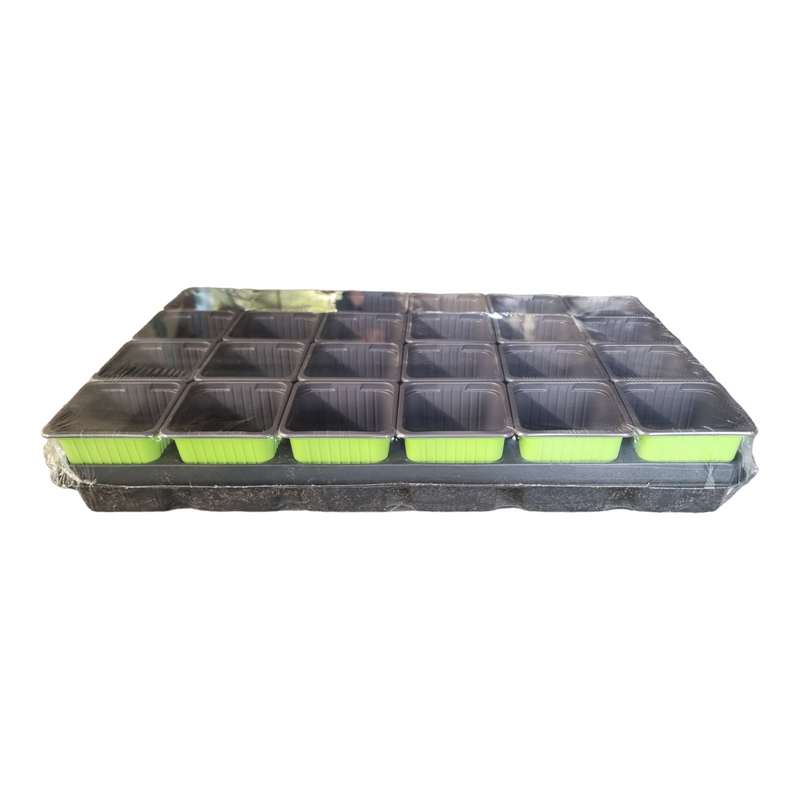 Carry Tray with 24 x 7 cm x 7 cm Square Pots