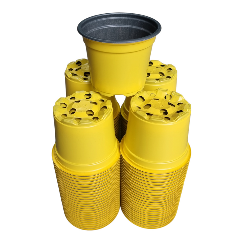 Desch Container Pots