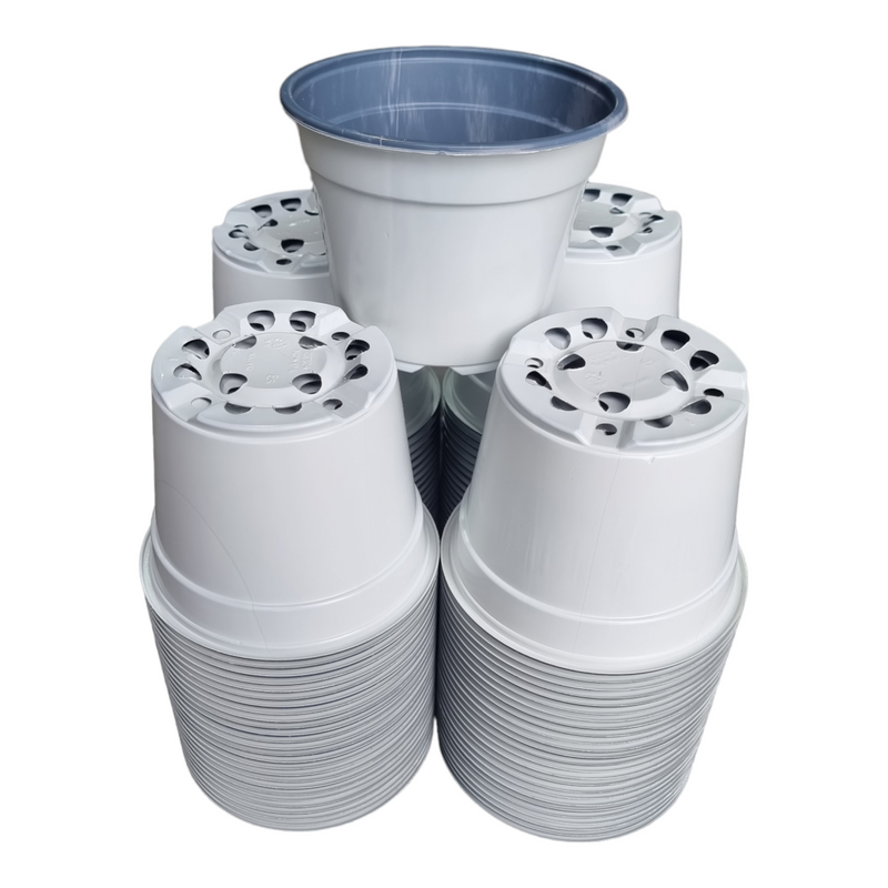 Desch Container Pots