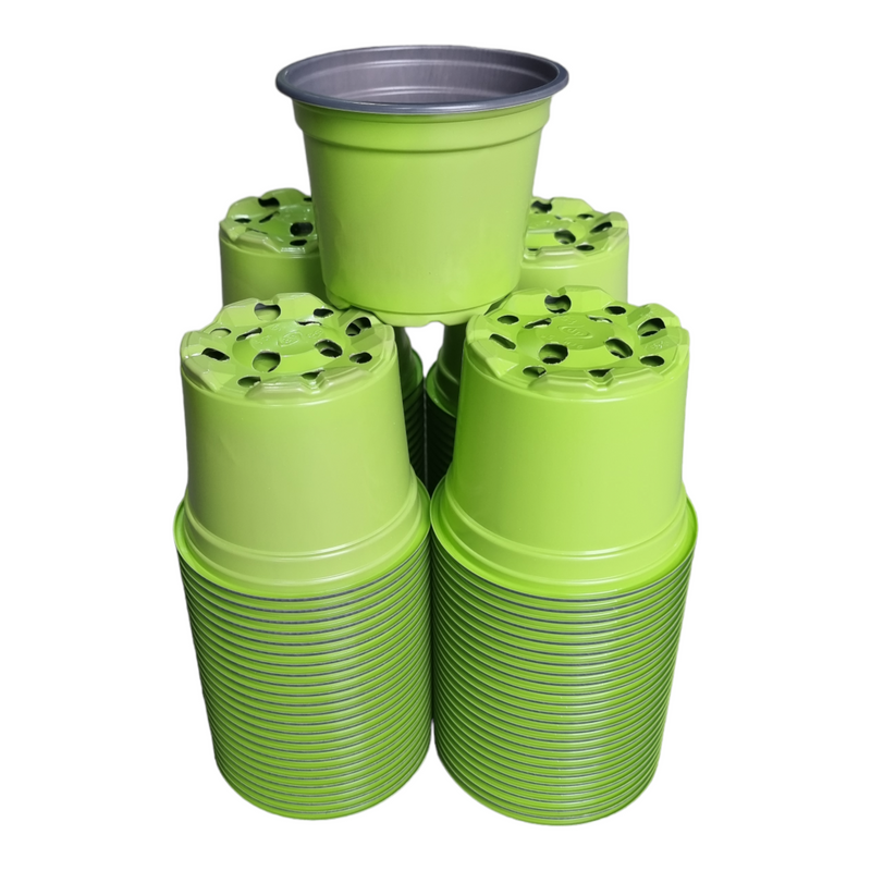 Desch Container Pots