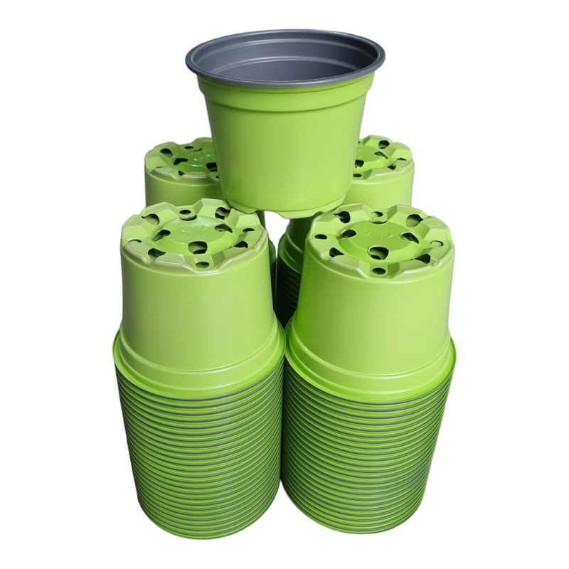 Desch Container Pots