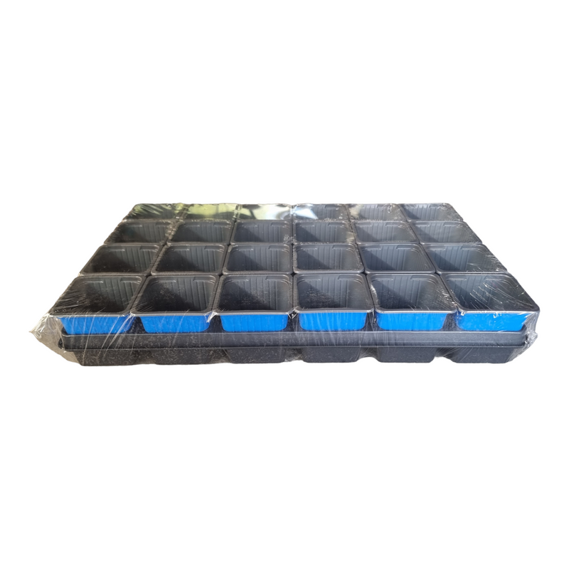 Carry Tray with 24 x 7 cm x 7 cm Square Pots