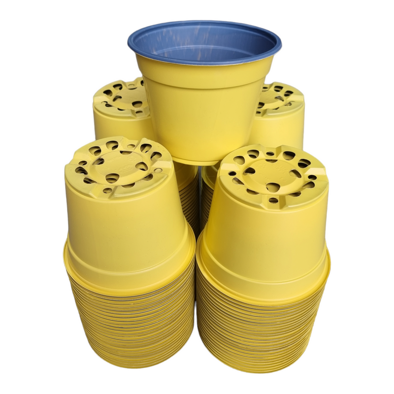 Desch Container Pots