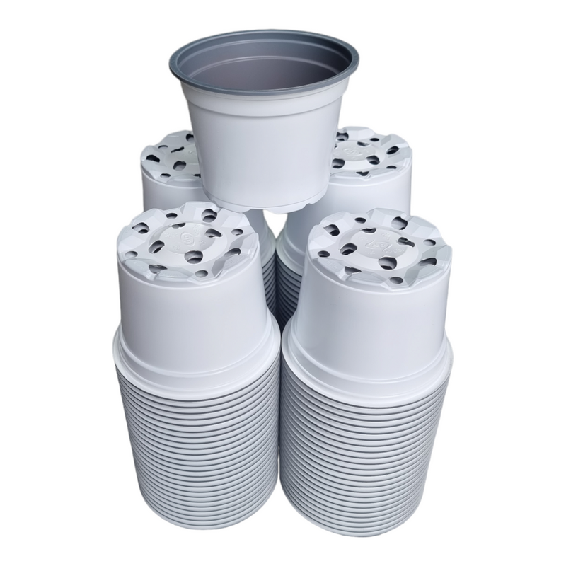 Desch Container Pots