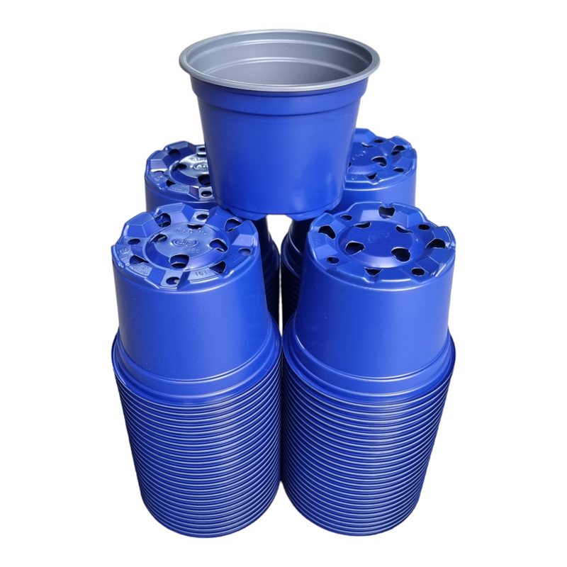 Desch Container Pots