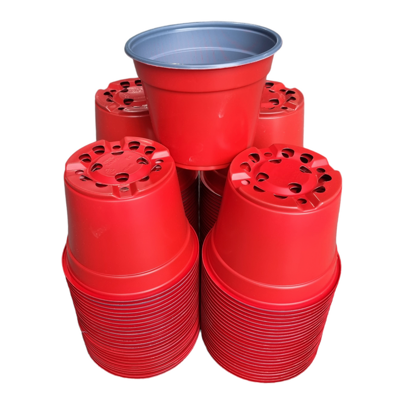 Desch Container Pots