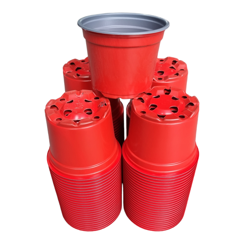 Desch Container Pots