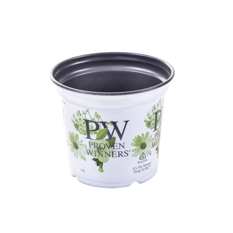 Custom Printed Container Pots