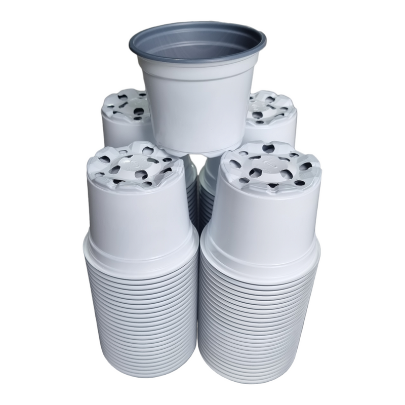 Desch Container Pots