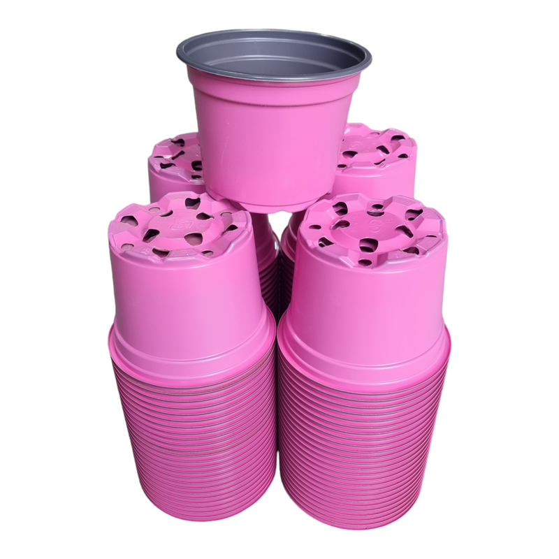 Desch Container Pots