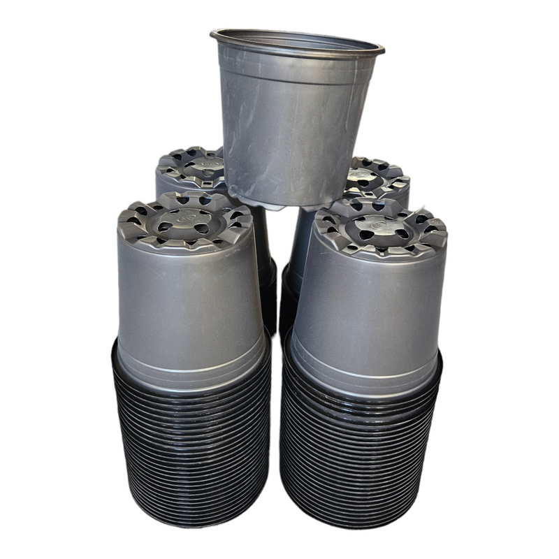 Desch Container Pots