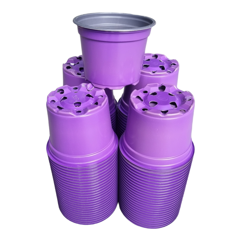 Desch Container Pots